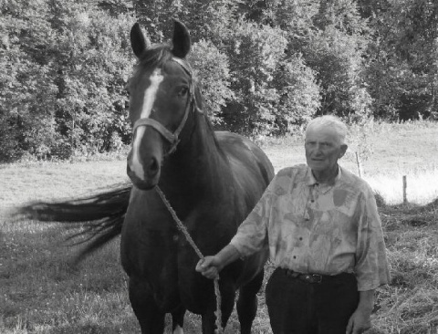 Kliknij na zdjęcie, żeby zobaczyć w pełnych wymiarach