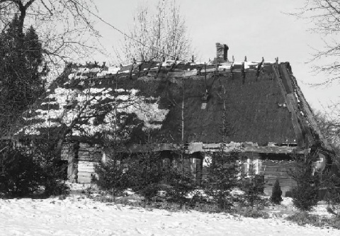 Kliknij na zdjęcie, żeby zobaczyć w pełnych wymiarach