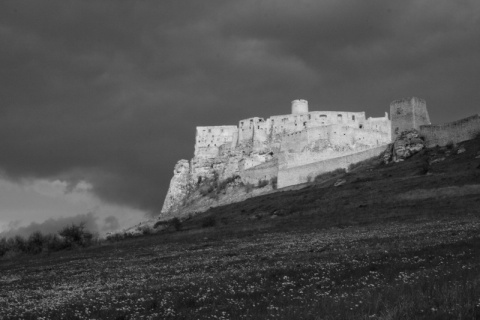 Kliknij na zdjęcie, żeby zobaczyć w pełnych wymiarach