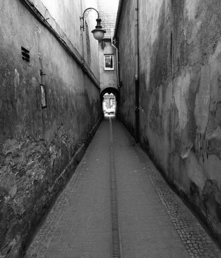 Kliknij na zdjęcie, żeby zobaczyć w pełnych wymiarach