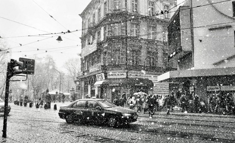 Kliknij na zdjęcie, żeby zobaczyć w pełnych wymiarach