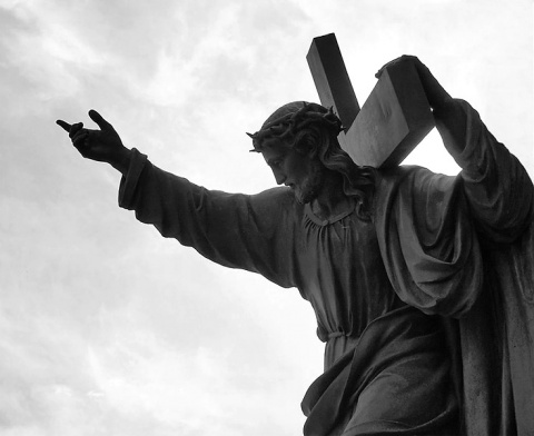 Kliknij na zdjęcie, żeby zobaczyć w pełnych wymiarach