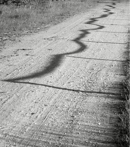 Kliknij na zdjęcie, żeby zobaczyć w pełnych wymiarach