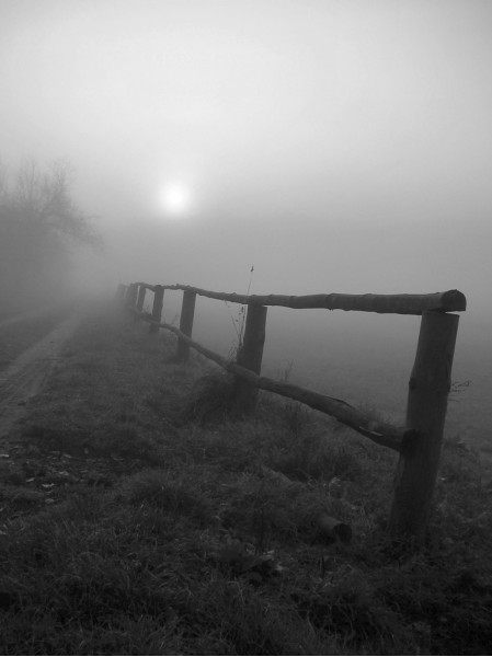 Kliknij na zdjęcie, żeby zobaczyć w pełnych wymiarach