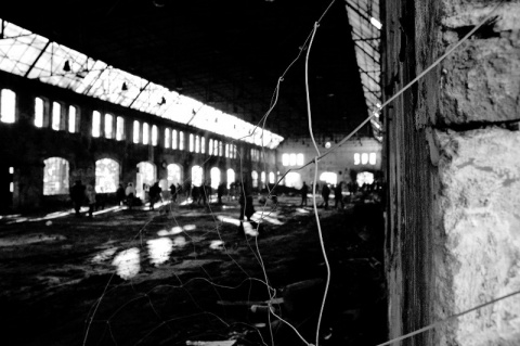 Kliknij na zdjęcie, żeby zobaczyć w pełnych wymiarach