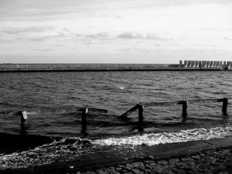 Kliknij na zdjęcie, żeby zobaczyć w pełnych wymiarach