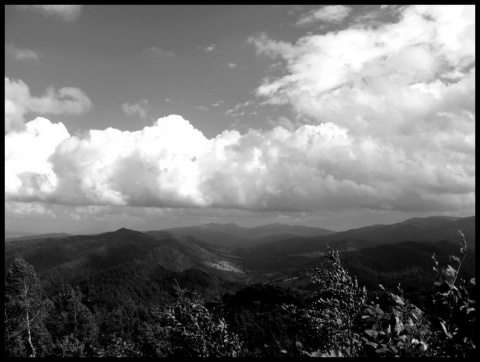 Kliknij na zdjęcie, żeby zobaczyć w pełnych wymiarach