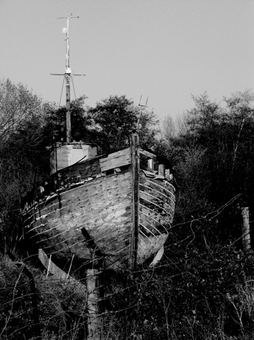 Kliknij na zdjęcie, żeby zobaczyć w pełnych wymiarach