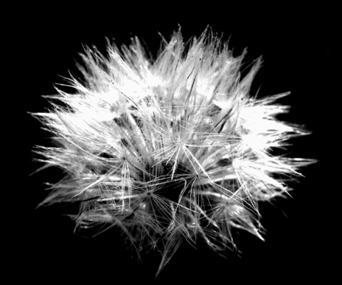 Kliknij na zdjęcie, żeby zobaczyć w pełnych wymiarach