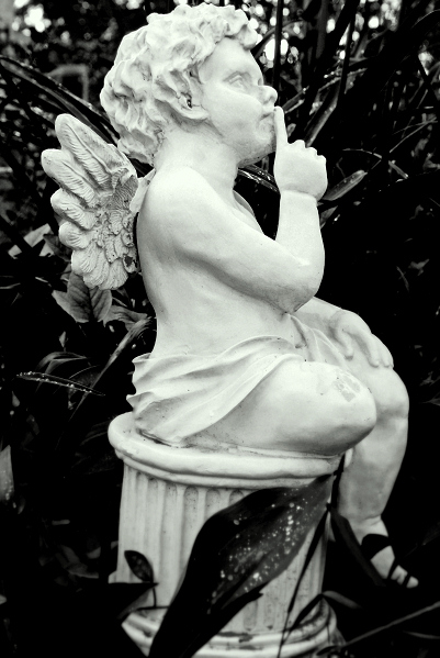 Kliknij na zdjęcie, żeby zobaczyć w pełnych wymiarach