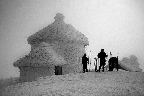 Kliknij na zdjęcie, żeby zobaczyć w pełnych wymiarach