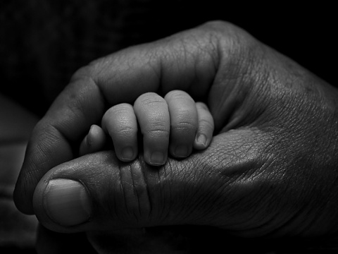 Kliknij na zdjęcie, żeby zobaczyć w pełnych wymiarach