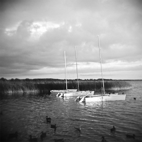 Kliknij na zdjęcie, żeby zobaczyć w pełnych wymiarach