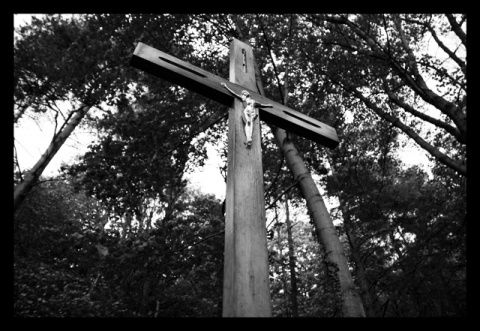 Kliknij na zdjęcie, żeby zobaczyć w pełnych wymiarach