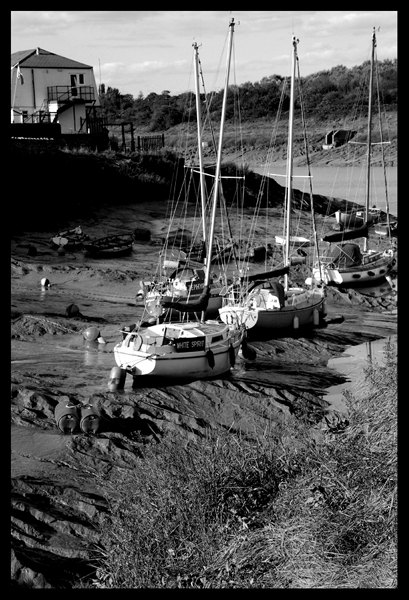 Kliknij na zdjęcie, żeby zobaczyć w pełnych wymiarach