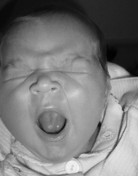 Kliknij na zdjęcie, żeby zobaczyć w pełnych wymiarach