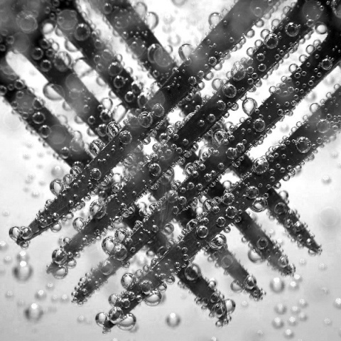 Kliknij na zdjęcie, żeby zobaczyć w pełnych wymiarach