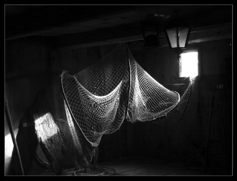 Kliknij na zdjęcie, żeby zobaczyć w pełnych wymiarach