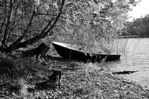 Kliknij na zdjęcie, żeby zobaczyć w pełnych wymiarach