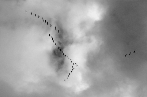 Kliknij na zdjęcie, żeby zobaczyć w pełnych wymiarach