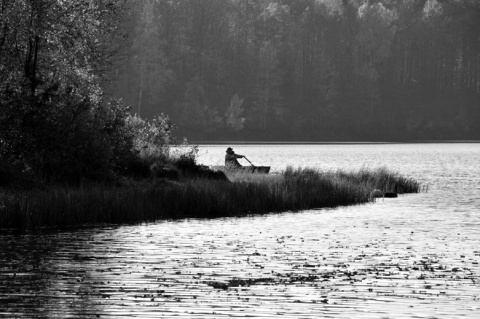 Kliknij na zdjęcie, żeby zobaczyć w pełnych wymiarach