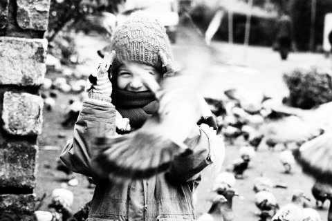 Kliknij na zdjęcie, żeby zobaczyć w pełnych wymiarach