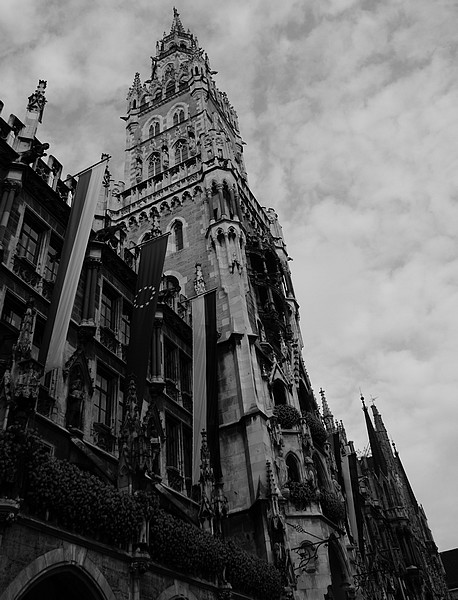 Kliknij na zdjęcie, żeby zobaczyć w pełnych wymiarach