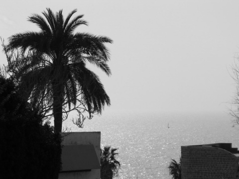 Kliknij na zdjęcie, żeby zobaczyć w pełnych wymiarach