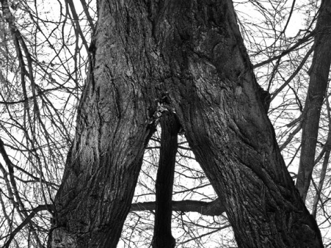 Kliknij na zdjęcie, żeby zobaczyć w pełnych wymiarach