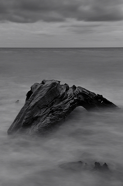 Kliknij na zdjęcie, żeby zobaczyć w pełnych wymiarach