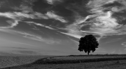 Kliknij na zdjęcie, żeby zobaczyć w pełnych wymiarach