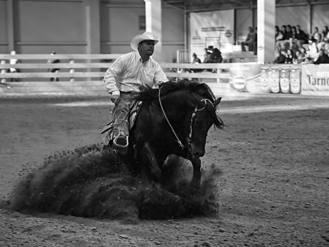 Kliknij na zdjęcie, żeby zobaczyć w pełnych wymiarach