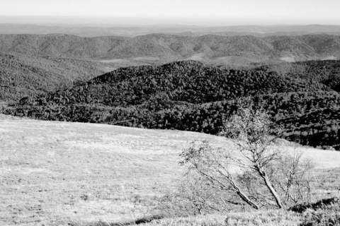 Kliknij na zdjęcie, żeby zobaczyć w pełnych wymiarach