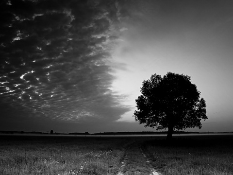 Kliknij na zdjęcie, żeby zobaczyć w pełnych wymiarach