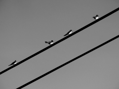 Kliknij na zdjęcie, żeby zobaczyć w pełnych wymiarach