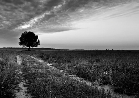 Kliknij na zdjęcie, żeby zobaczyć w pełnych wymiarach