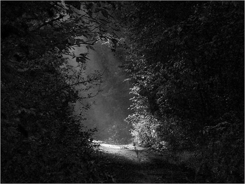 Kliknij na zdjęcie, żeby zobaczyć w pełnych wymiarach