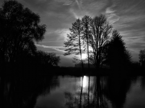 Kliknij na zdjęcie, żeby zobaczyć w pełnych wymiarach