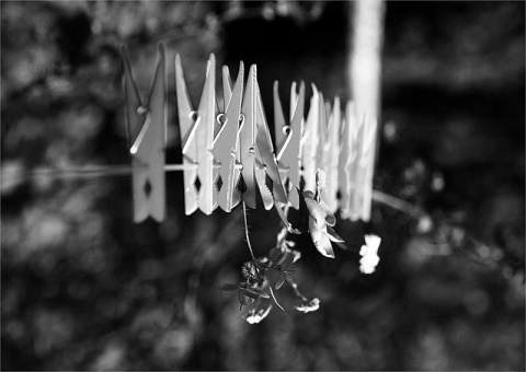 Kliknij na zdjęcie, żeby zobaczyć w pełnych wymiarach