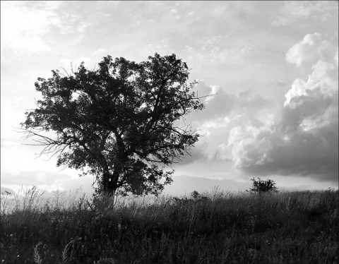 Kliknij na zdjęcie, żeby zobaczyć w pełnych wymiarach