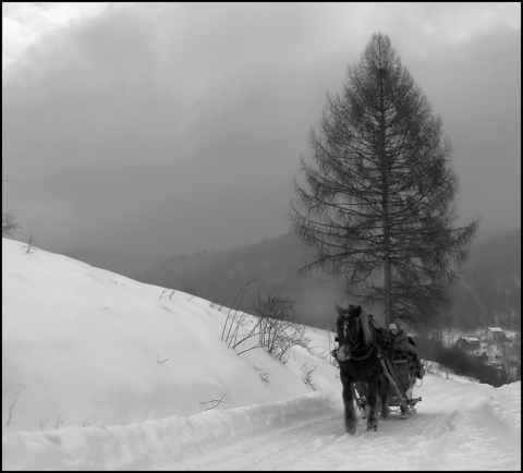Kliknij na zdjęcie, żeby zobaczyć w pełnych wymiarach