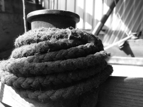 Kliknij na zdjęcie, żeby zobaczyć w pełnych wymiarach