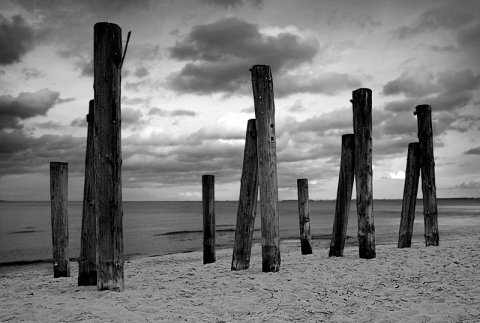 Kliknij na zdjęcie, żeby zobaczyć w pełnych wymiarach