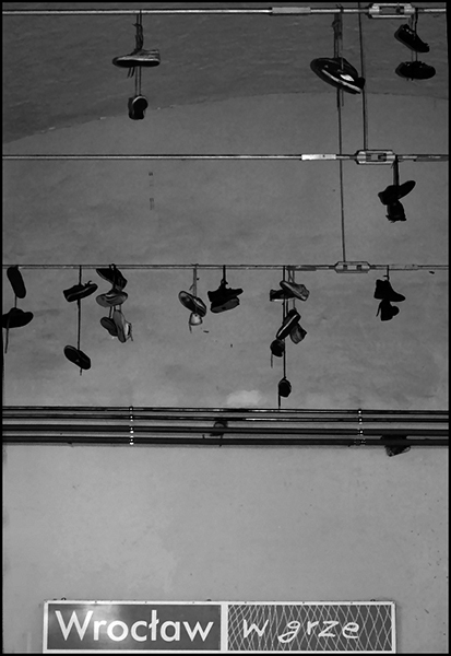 Kliknij na zdjęcie, żeby zobaczyć w pełnych wymiarach