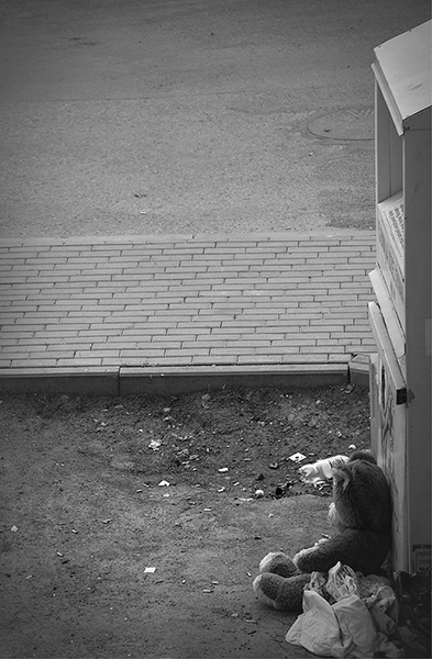 Kliknij na zdjęcie, żeby zobaczyć w pełnych wymiarach