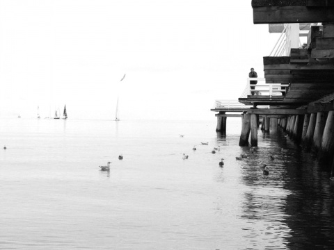 Kliknij na zdjęcie, żeby zobaczyć w pełnych wymiarach