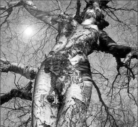 Kliknij na zdjęcie, żeby zobaczyć w pełnych wymiarach