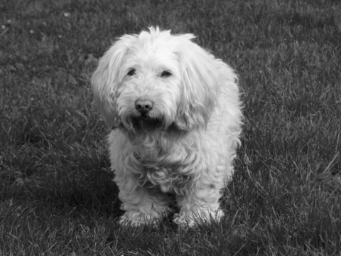 Kliknij na zdjęcie, żeby zobaczyć w pełnych wymiarach