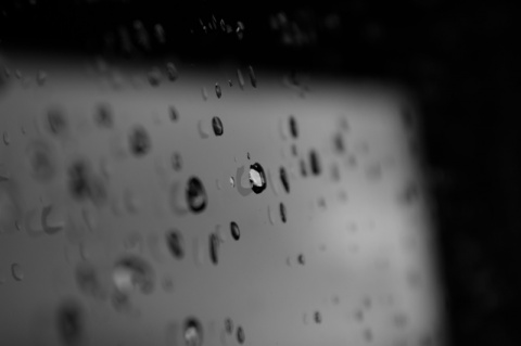 Kliknij na zdjęcie, żeby zobaczyć w pełnych wymiarach