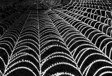 Kliknij na zdjęcie, żeby zobaczyć w pełnych wymiarach